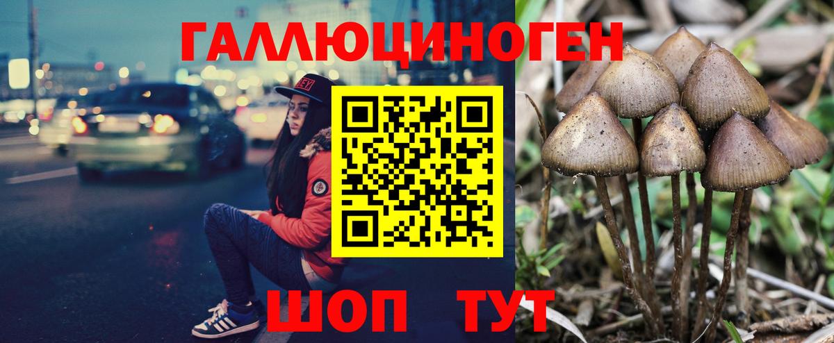Псилоцибиновые грибы прущие грибы  Вход с VPN  Псилоцибиновые грибы ЛСД  Лесосибирск 